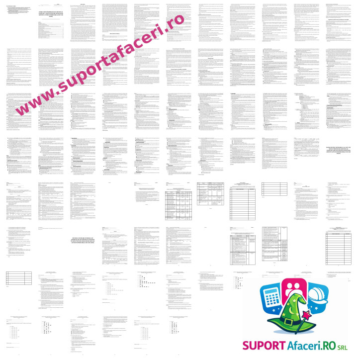 Instrucțiuni proprii SSM Desenator artistic (studii superioare) – model editabil DOC