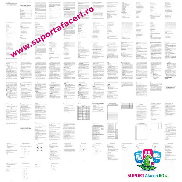 Instrucțiuni proprii SSM Ofițer intendent – model editabil DOC