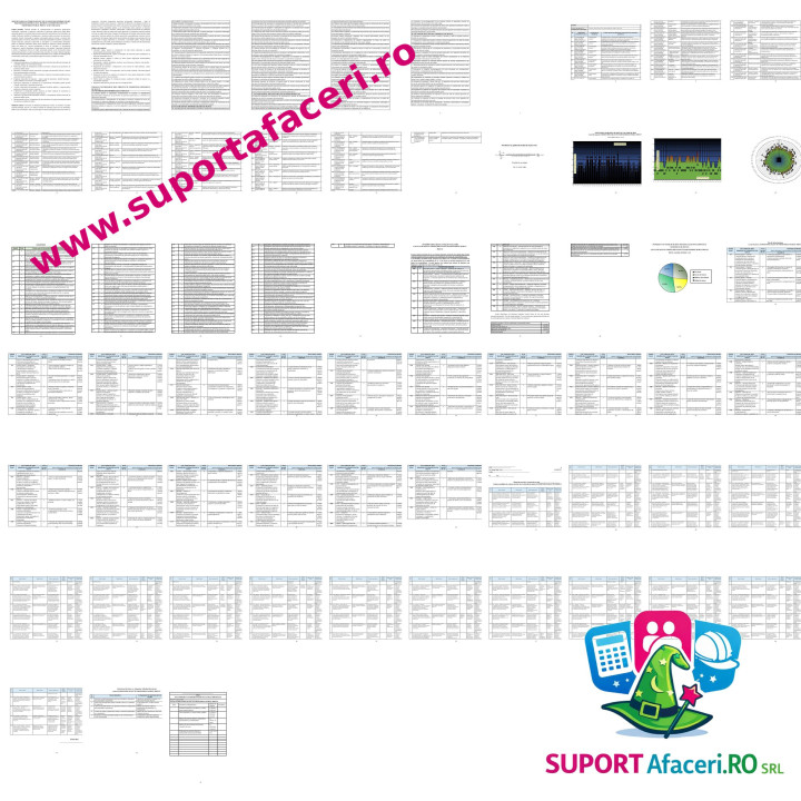 Evaluare riscuri Expert/specialist în parteneriat public-privat – model editabil DOC