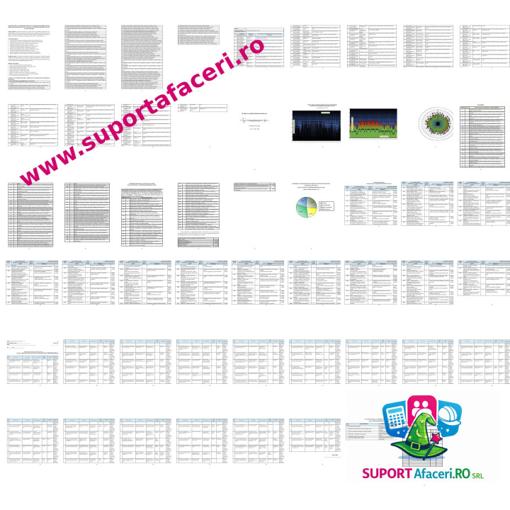 Evaluare riscuri Timonier maritim/ fluvial – model editabil DOC