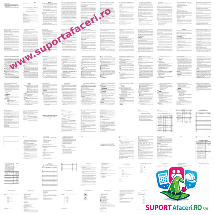 Instrucțiuni proprii SSM Cercetător în electronică aplicată – model editabil DOC